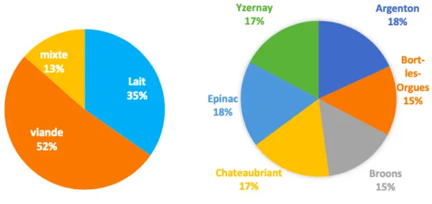 Figure 4. Répartition du nombre de bovins en fonction de la clinique (à droite) et du type 