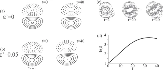 Figure 5.10: Non-linear evolution of the perturbed LC dipole. (a) Vorticity field of the flow at ² 0