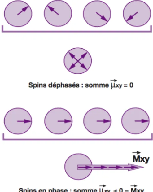 Figure	37.	Rephasage	des	spins	
