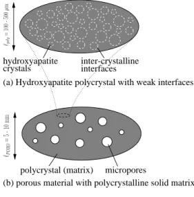 Figure B.9: Micromechanical representation of a porous hydroxyapatite poly- poly-crystal by means of a two-step homogenization procedure.