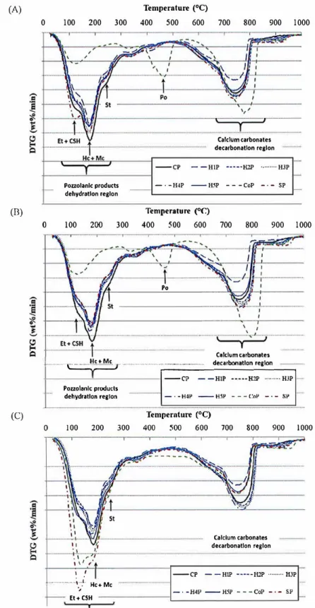 Fig.  11  Differential TGA curves of contrai paste and pastes containing bio-aggregates extractives after 24 h (A), 48 h (B)  and 9 months (C)