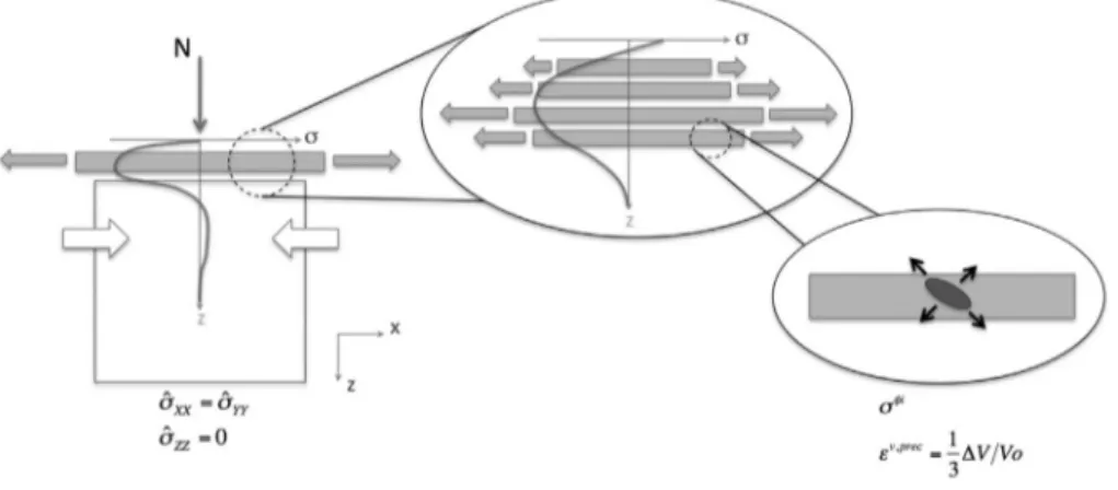 Fig. 2.23 – Schématisation de l’état plan de contraintes résiduelles de nitruration.