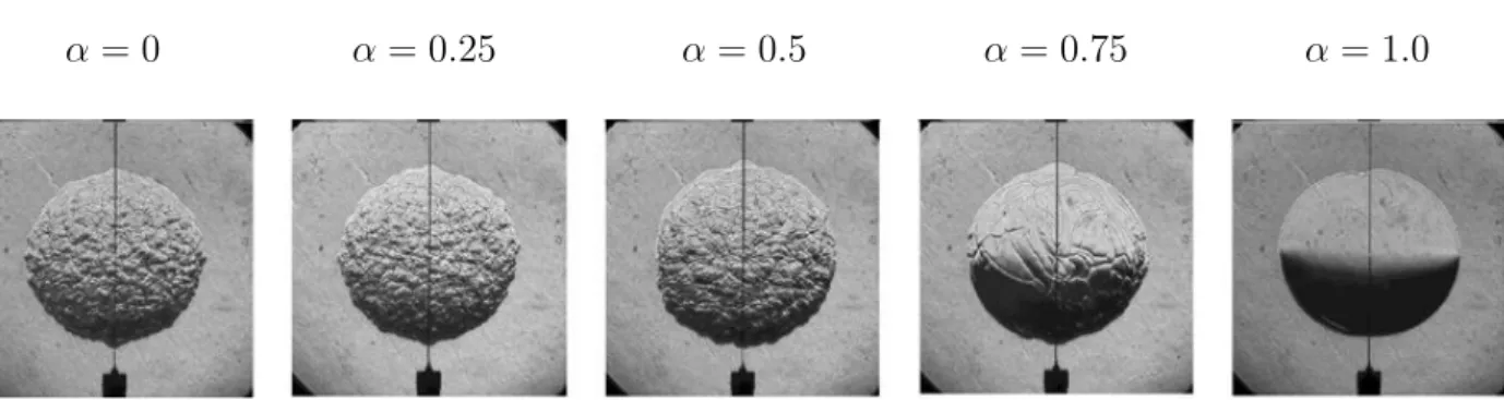 Figure 3.1: Spherical flames in air-propane-hydrogen mixtures; α corresponds to the mass ratio of hydrogen in the fuel