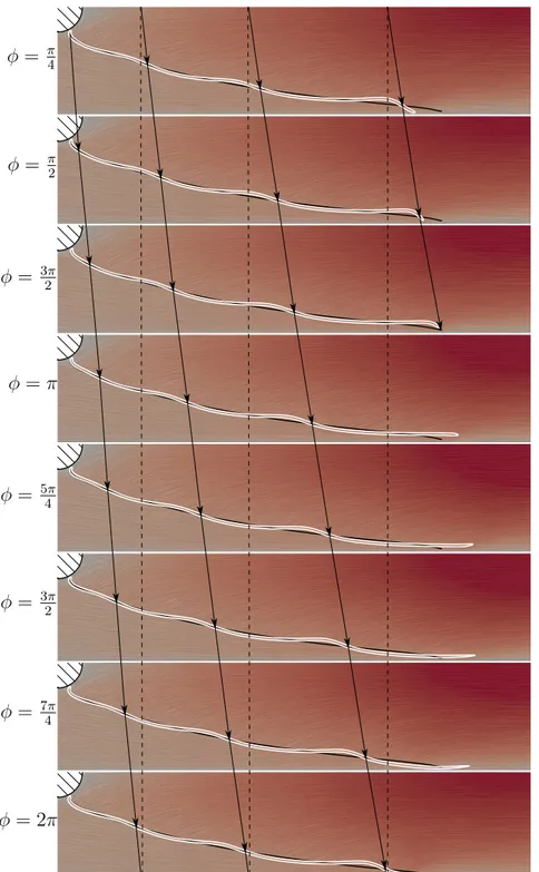 Figure 3.11: Comparison of flame topologies of the steady flame (black line) and instantaneous snapshots of a pulsed flame (white iso surface of heat release) at various phase angles of harmonic velocity perturbation (|u ′ | = 5%u