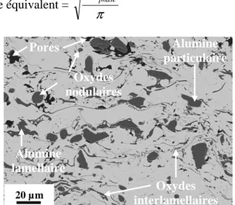 Figure II. 10 : Image MEB (contraste topographique) en coupe de la microstructure d’un  dépôt composite de bronze d’aluminium/alumine