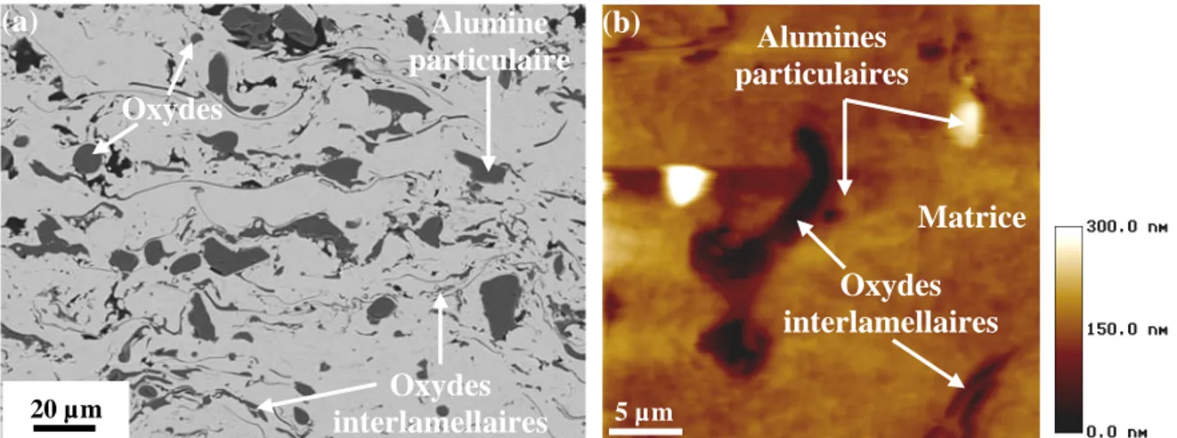 Figure III. 14 : Localisation des phases constituant un dépôt co-projeté à partir d’observation  au MEB, (a) Image MEB (contraste chimique) et (b) Image AFM avec la pointe Berkovich, 