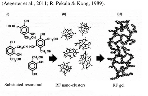 Figure 16. Schematic illustration of the RF gelation  mechanism, adapted  from  (R. Pekala &amp;  Kong, 1989)