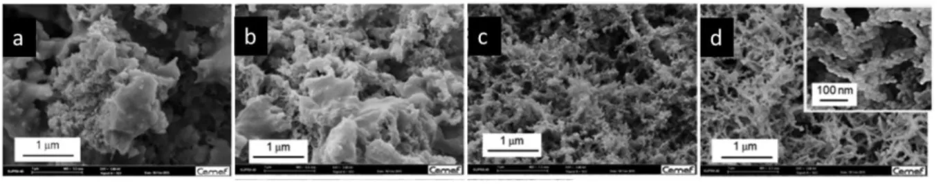 Figure  25.  SEM  images  of  starch  aerogels  from  different  starch  sources  and  amylose/amylopectin ratio: (a) waxy potato, (b) regular potato, (c) pea, and (d) high amylose  corn starch