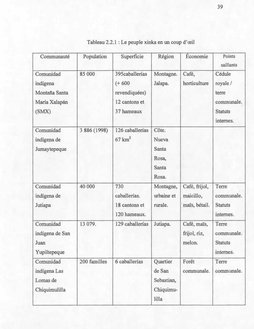 Tableau 2.2.1  :Le peuple  xinka en  un  coup d ' œil 