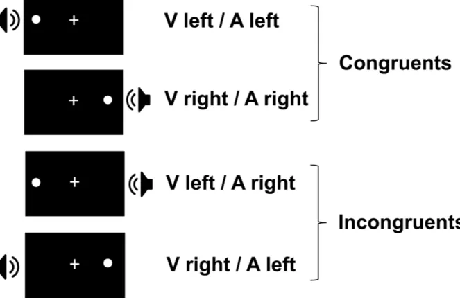 Figure 2. Spatial audiovisual conflict task. Stimuli (sounds and white circles) were presented  either on the same side (congruent trials) or on opposite sides (incongruent trials)