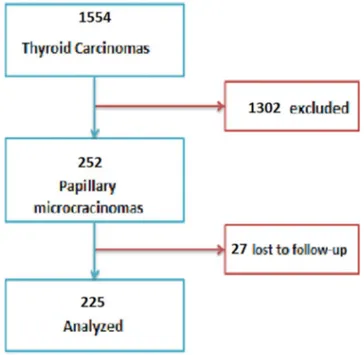 Fig. 1. Flowchart of the process for selection of the patients ana- ana-lyzed in the study