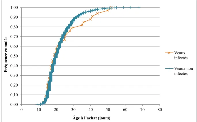 Figure 19 : Répartition des âges d’achat des veaux infectés et non infectés 