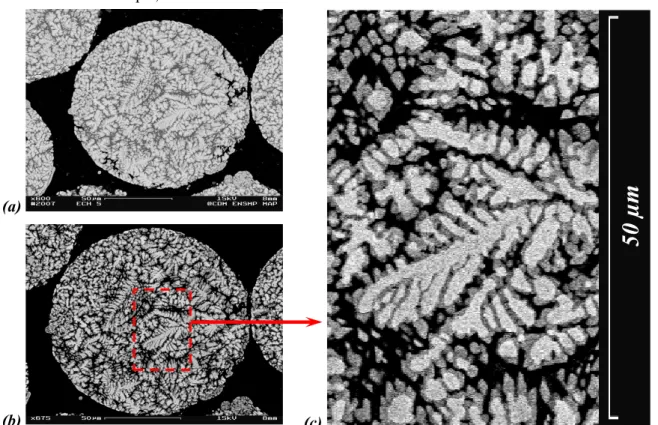 Figure 12. Gouttelette atomisée d’alliage Ni -75 % at. Al. Taille entre 106 et 150 µm de diamètre