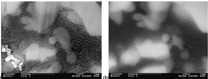 Figure 14. Microstructure de gouttelette atomisée d’alliage Ni -75 % at. Al, inférieure à 20 µm de diamètre