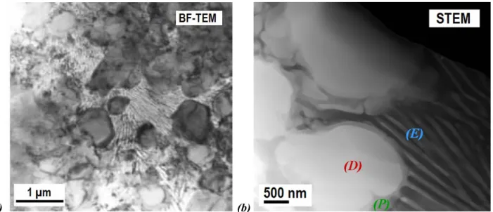Figure 15. Images MET de gouttelette atomisée d’alliage Ni -75 % at. Al. Taille 20 à 38 µm de diamètre [60] 