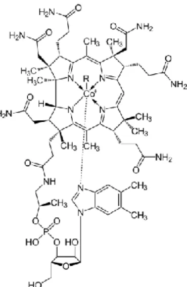 Figure 3 : Structure commune aux folates .  D’après Delchier, 2012 
