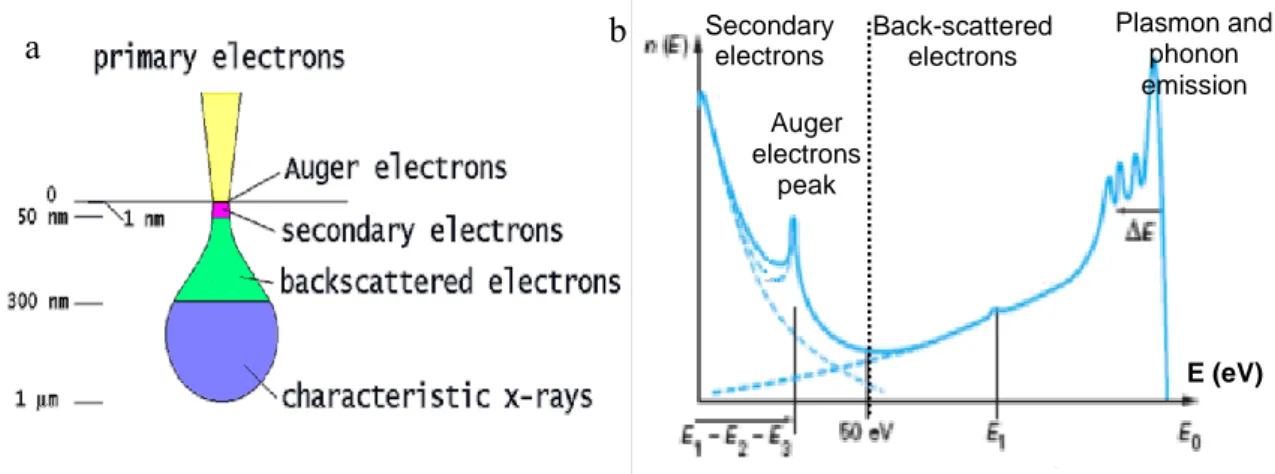 Figure II.11: (a) Interaction volume of electrons on a sample surface and (b) Energy diagram of the  electrons re-emitted by the scanned sample