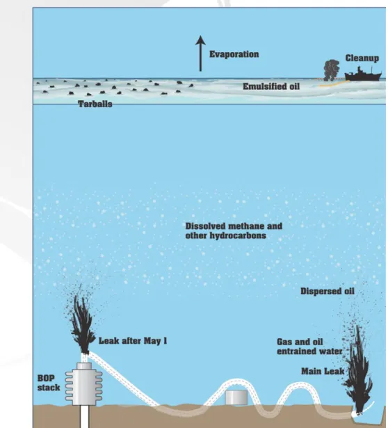 Figure 24 : les différentes formes que prend l'effluent en sortie du puits (source (The Federal Interagency  Solutions Group, 2010, p