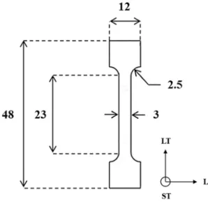 Fig. 1. Geometry of tensile samples (dimensions in mm).