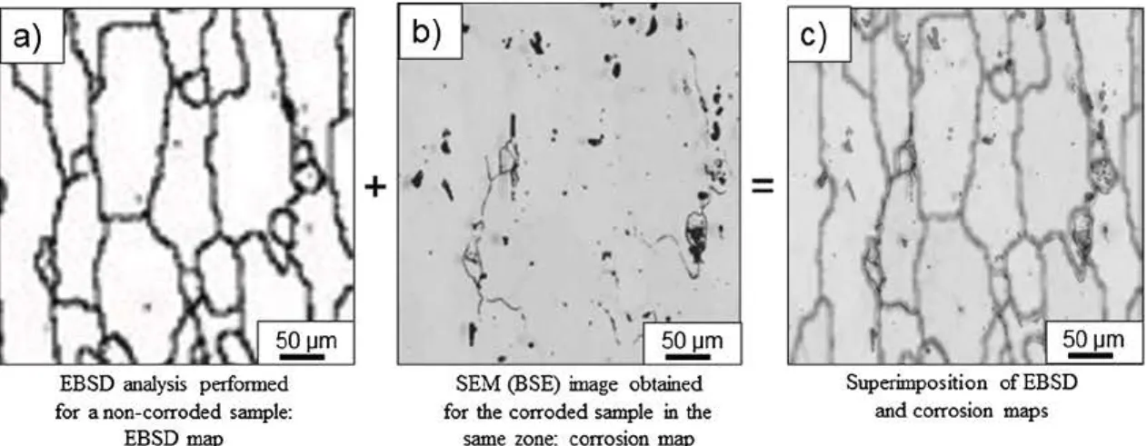 Fig.  1.  Methodology  used  to study the influence of  H  on the corrosion  behaviour of AA  2024 alloy:  a)  EBSD  map of the surface exposed  (1.5  X  3 mm 2)  to  the  electrolyte before  H  precharging and corrosion tests; b) SEM image on BSE mode of 