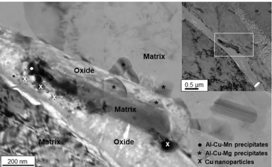 Fig. 3. Bright field (BF) TEM images showing a ramification of an IGC defect in H-precharged AA 2024 T351 after a 24 h immersion in a 5 mM NaCl solution.