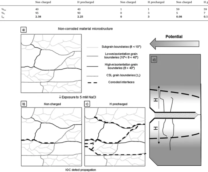 Fig. 6. IGC Mechanism for AA 2024 T351. a) Microstructure of the non-corroded material with identification of the interfaces