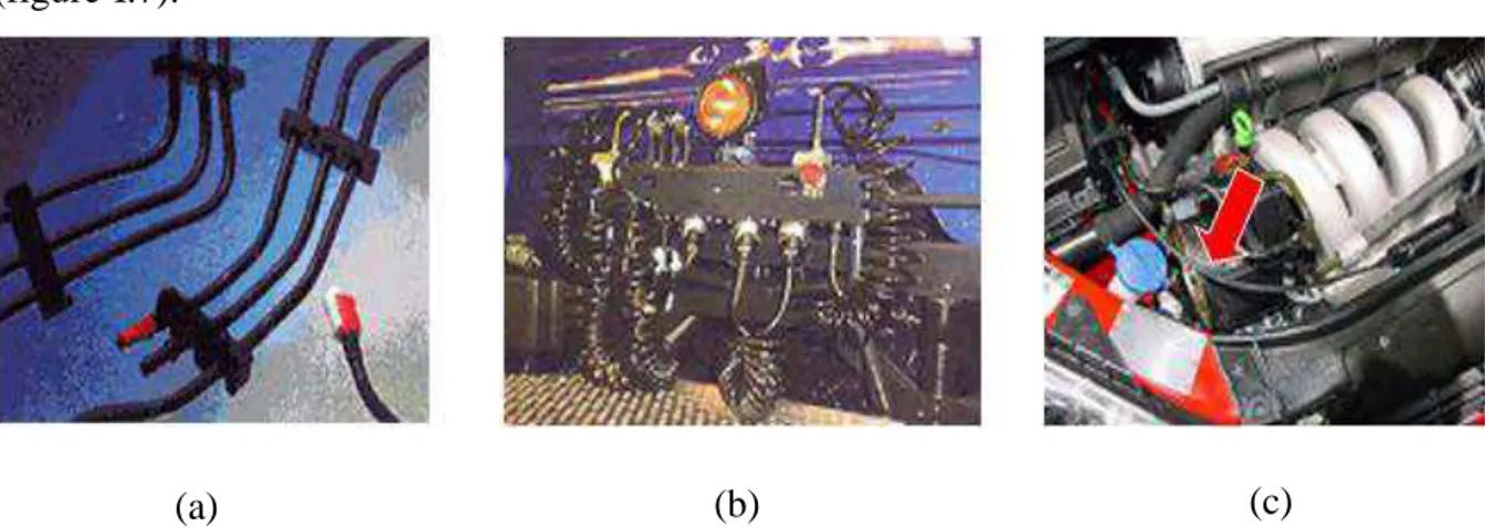 Figure I.7 : Applications des tubes en PA12: (a) Lignes de carburant mono et multicouches   