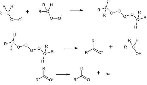 Figure I.16 : Le mécanisme de Russell pour la terminaison.  I.4.3. Application aux polyamides aliphatiques 