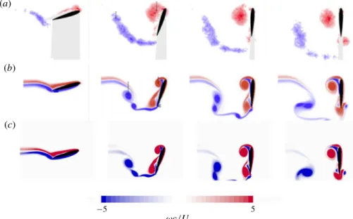 FIGURE 2. (Colour online) Vorticity flow fields obtained for Ξ = 1/4 from particle image velocimetry (a–d) and direct numerical simulation (DNS) (e–h) by Polet et al