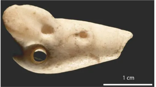 Figure 5 Profile of a stone pendant discovered in El Kowm (Syria) in the late, pre-pottery Neolithic B 