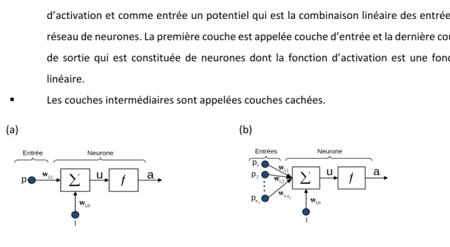 figure 2.3(b). Chaque entrée p 