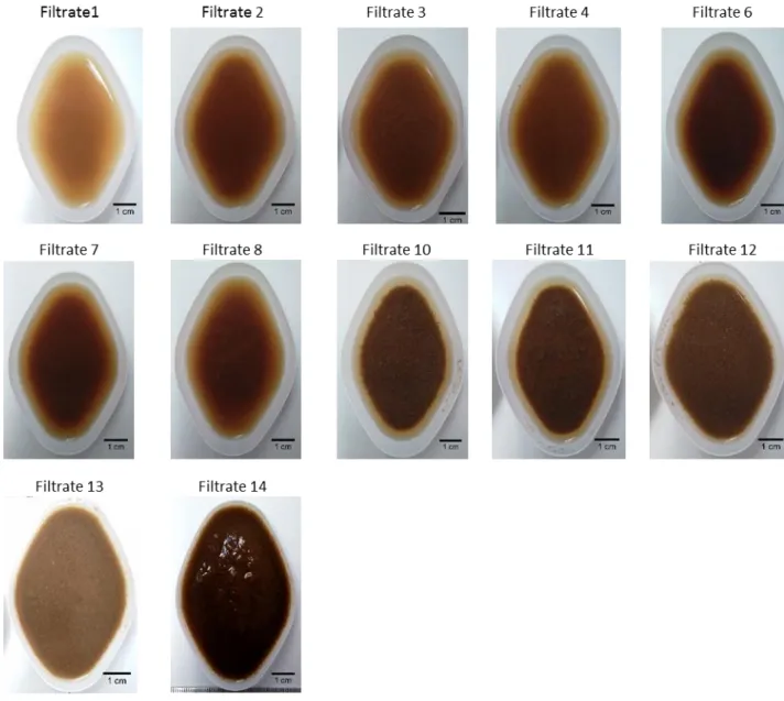 Figure S 2: Photos of filtrates obtained with part of the conditions evaluated in the present work  