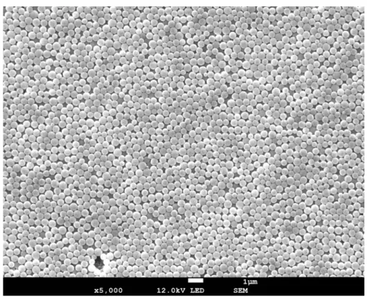 Figure 1. SEM micrograph of a dried sample of the synthesized polystyrene latex.