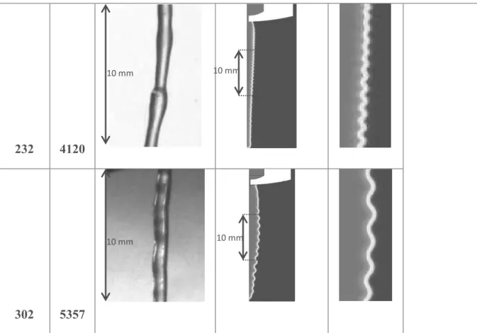 Figure 11: Influence of inlet velocity and shear rate on the shape of the extrudate exiting from the nozzle with a  diameter of 0.5 mm