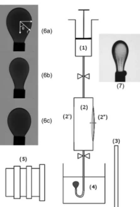 Figure 3 shows a schematic of the setup. A syringe (1) is used to form an oil droplet at the end of a capillary immersed in water (4)