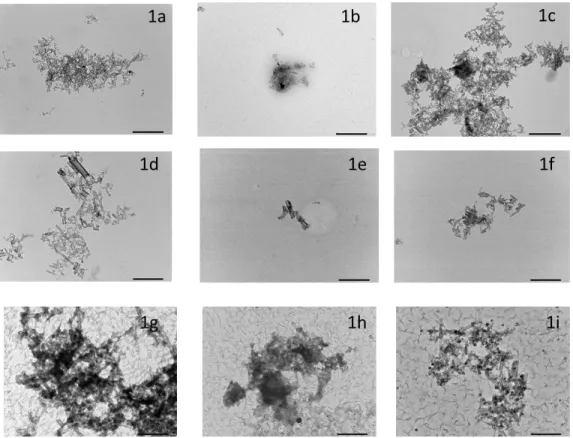 Figure 1a-i: TEM images of GANF (1a), GATam (1b) and GANFg (1c) prepared in stock suspensions  compared with GANF (1d), GATam (1e) and GANFg (1f) in culture media and GANF (1g), GATam (1h) and 