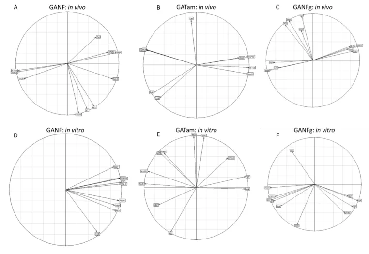 Figure 4: PLS-DA correlation for all test conditions  in vivo for GANF (A), GATam (B) and GANFg (C) as well  as in vitro for GANF (D),  GATam (E) and GANFg (F) plotted on a factorial plane