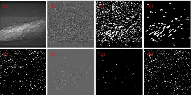 Figure  3.11.  Particle  detection  based  on  the  phase  contrast  imaging  mechanism,  (a)  reconstructed approximation component; (b) reconstructed detail component; (c) preliminary  particle  detection  by  Canny  edge  detector;  (d)  removed  object