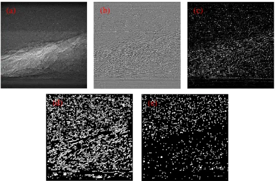 Figure  3.12.  Particle  detection  based  on  the  absorption  contrast  imaging  mechanism,  (a)  reconstructed approximation component; (b) reconstructed detail component; (c) background  suppression; (d) binary image of identified particles with the pr