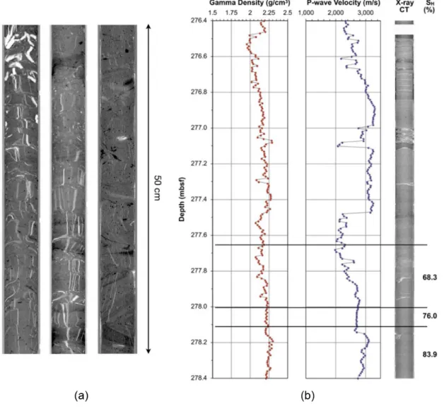 Figure 1.3: Macroscopic morphologies of natural methane hydrate-bearing sediments in the Bay of Bengal: (a) vein MHs in clayey sediments; (b) pore-filling MHs in sandy