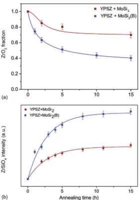 Fig. 5. SEM backscattered electron images of cross-section of (a) YPSZ e MoSi 2 and (b)