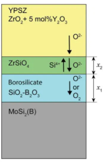 Fig. 10. Schematic of the transport phenomena associated with the formation of bo- bo-rosilicate and ZrSiO 4 layers in the YPSZ e MoSi 2 (B) interdiffusion couples when