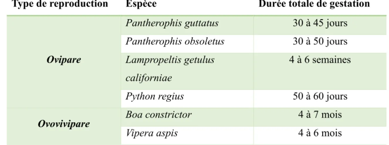 Tableau 1. Quelques exemples de durée de gestation chez des serpents ovipares et  ovovivipares (Stahl, 2002).