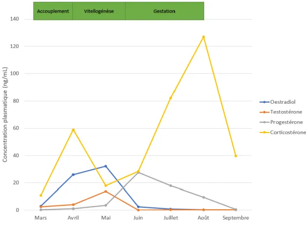 Figure 10.  Exemple de variation des concentrations plasmatiques de différentes hormones chez des  femelle Crotalus atrox en période de reproduction (Taylor et al., 2004)