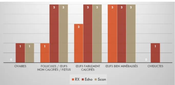 Figure 12.  Comparaison de l’intérêt de l’utilisation de différentes méthodes d’imagerie dans la  visualisation de l’appareil génitale femelle des serpents : (RX) Radiographie ; (Echo) Echographie ; 