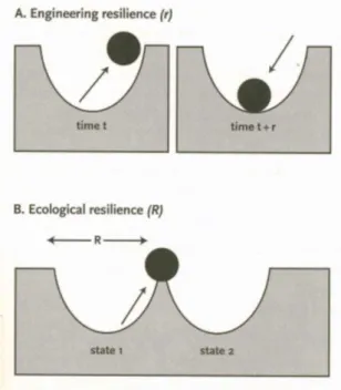 Figure 10 : Schématisation de l'&#34;engineering resilience&#34; et de l'&#34;ecological resilience&#34; (De Bruijne et al., 2010)  La première correspond à la définition initiale de la résilience, c’est-à-dire la capacité d’un système à  rebondir vers des