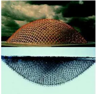 Figure 2.6. Une maquette suspendue de l’IL et, par retournement, le gridshell