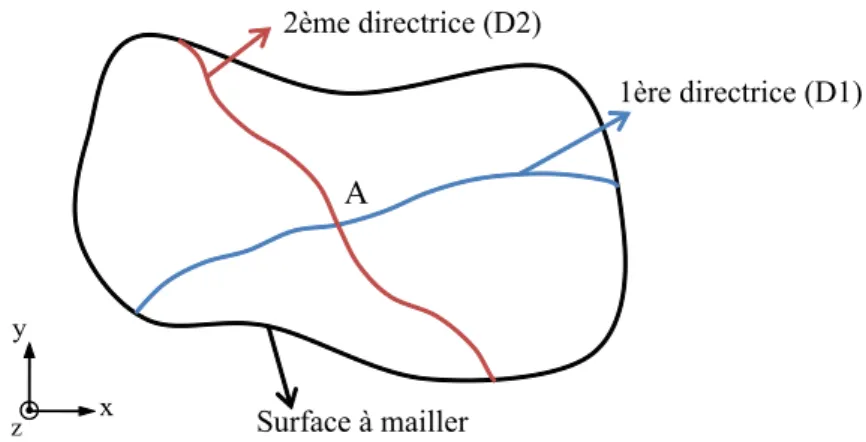 Figure 3.15. Repr´esentation des deux directrices sur la surface `a mailler