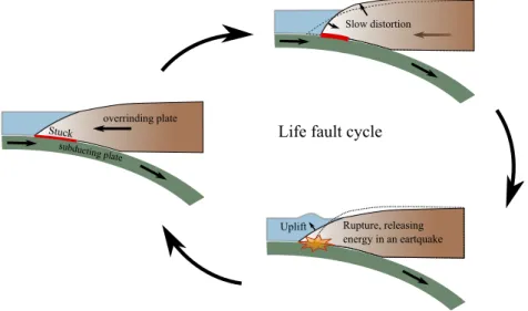 Figure 1.15: Seismic source – Life cycle of a convergent fault with generation of tsunami.