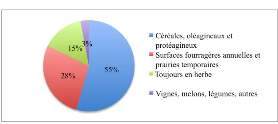 Fig. 2 : Surfaces agricoles des Deux-Sèvres (source : Agreste 2016) 